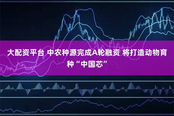 大配资平台 中农种源完成A轮融资 将打造动物育种“中国芯”
