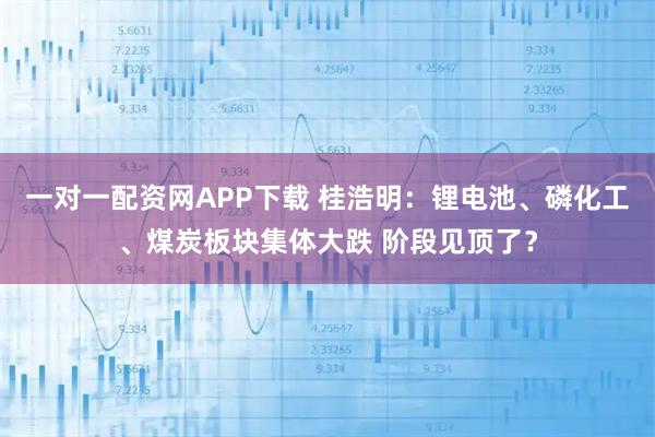一对一配资网APP下载 桂浩明：锂电池、磷化工、煤炭板块集体大跌 阶段见顶了？